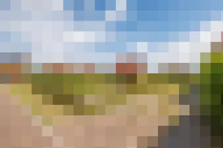 Foppedunenweg 3 Buren thumbnail 38