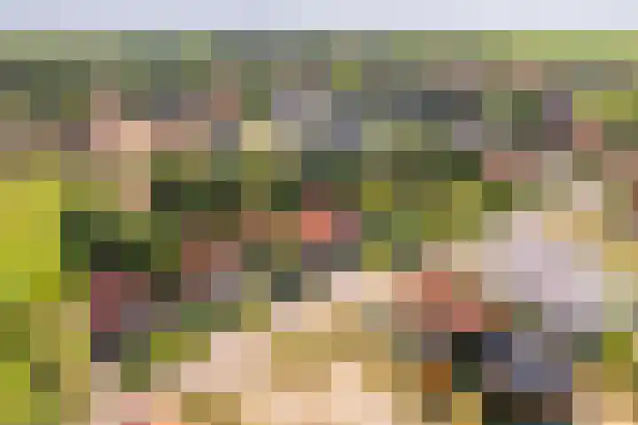 Foppedunenweg 3 Buren thumbnail 39