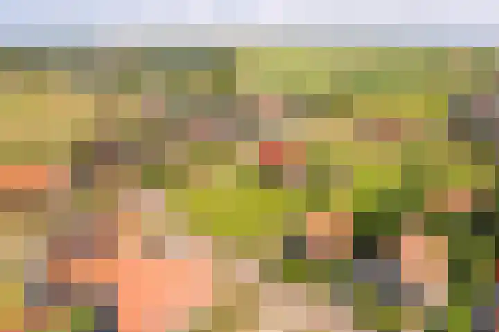 Foppedunenweg 3 Buren thumbnail 40