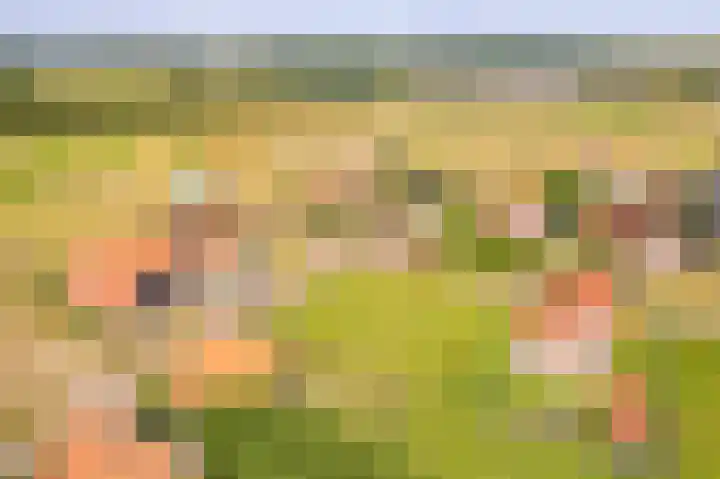 Foppedunenweg 3 Buren thumbnail 41