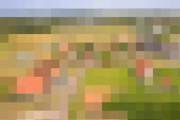 Foppedunenweg 3 Buren thumbnail 42