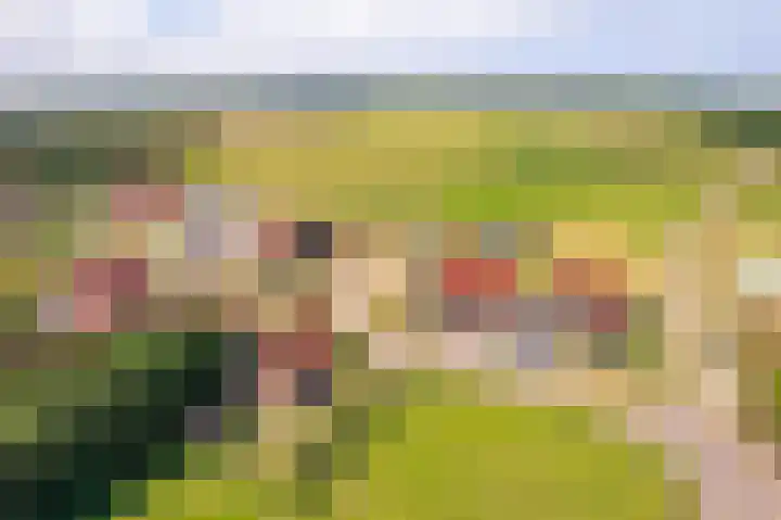 Foppedunenweg 3 Buren thumbnail 43