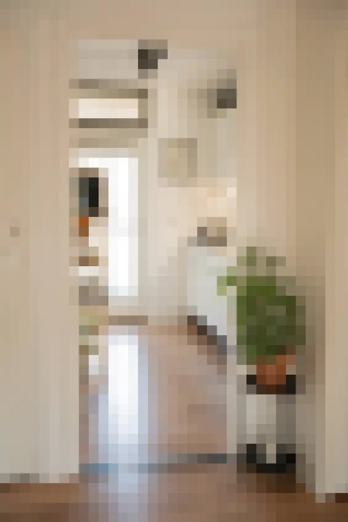 Forcadentstraat 50 A Maastricht thumbnail 7