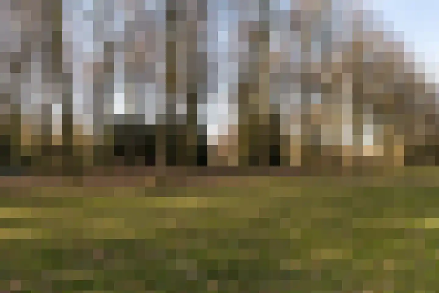 Forcadentstraat 50 B Maastricht thumbnail 23