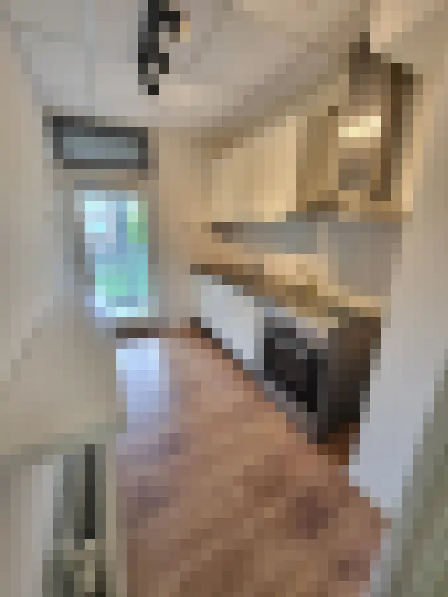 Forcadentstraat 50 B Maastricht thumbnail 9