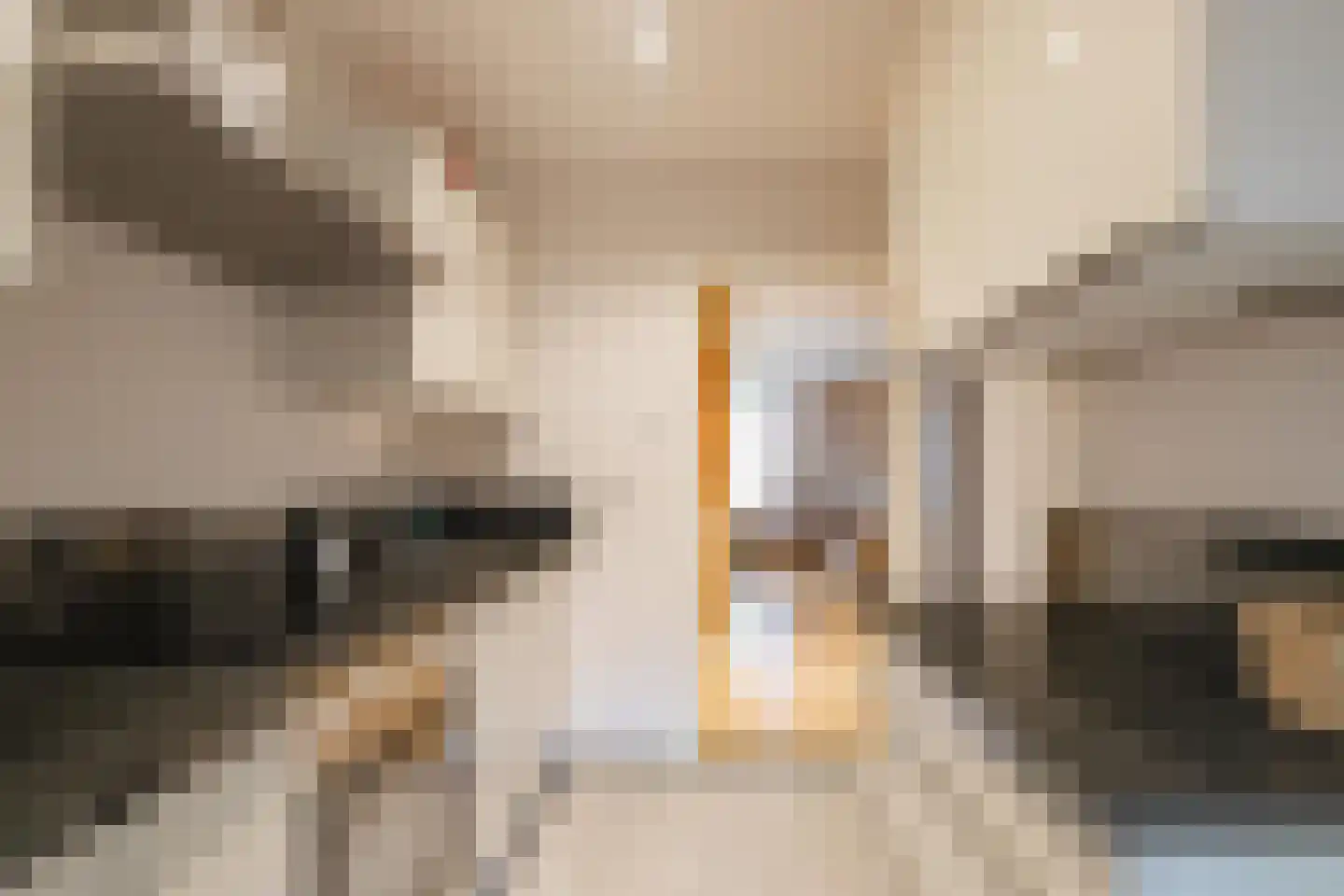 Forcadentstraat 64 B Maastricht thumbnail 8