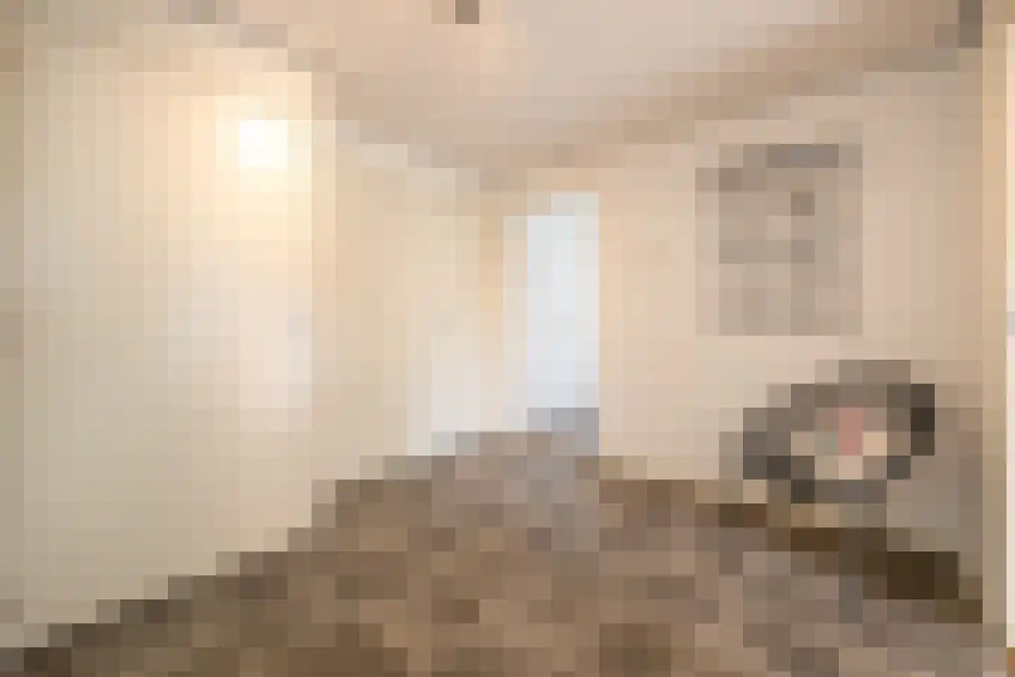 Forcadentstraat 76 A Maastricht thumbnail 43