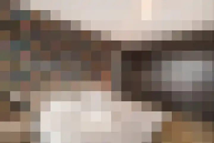 Forel 1 Veenendaal thumbnail 12
