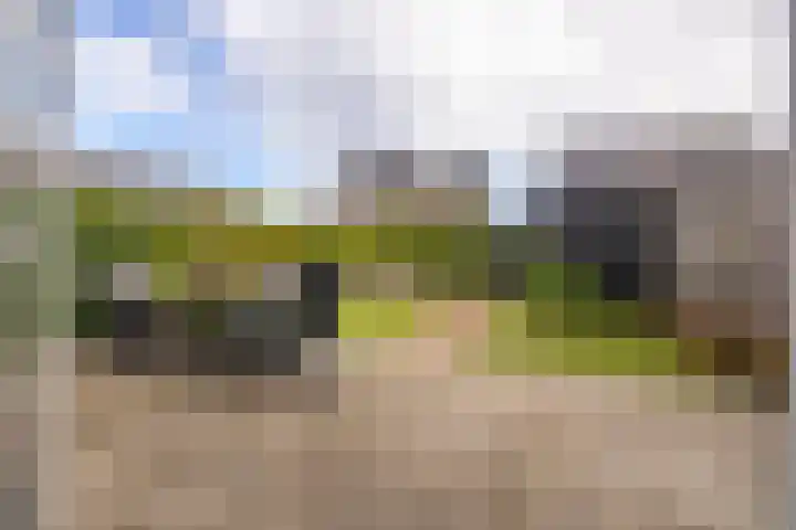 Forel 1 Veenendaal thumbnail 23