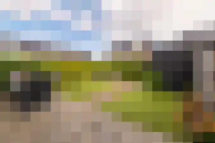 Forel 1 Veenendaal thumbnail 24