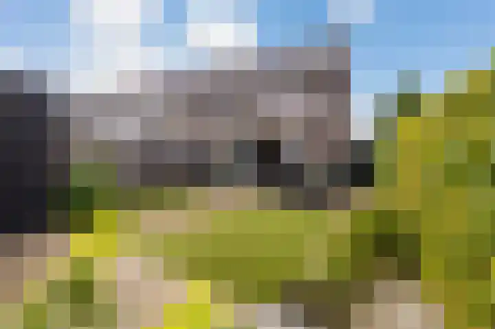 Forel 1 Veenendaal thumbnail 25