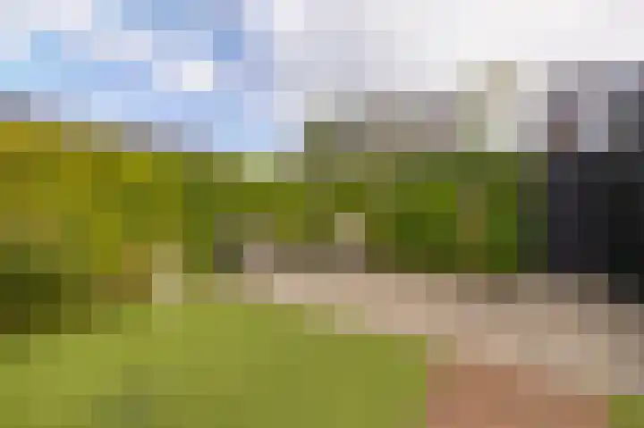 Forel 1 Veenendaal thumbnail 26