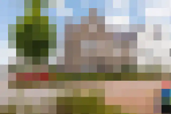 Forel 1 Veenendaal thumbnail 28