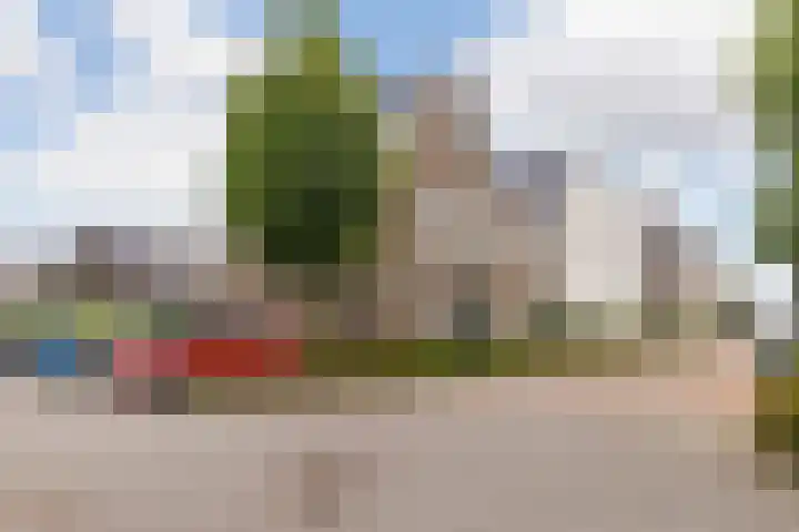 Forel 1 Veenendaal thumbnail 29