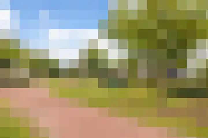 Forel 1 Veenendaal thumbnail 31