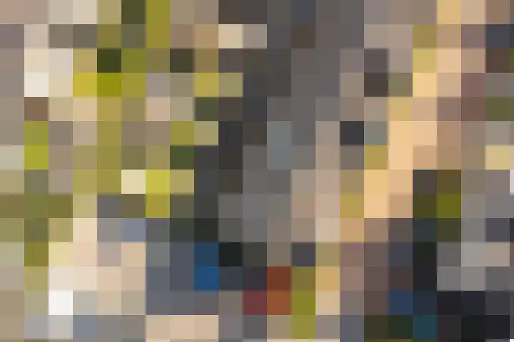 Forel 1 Veenendaal thumbnail 32