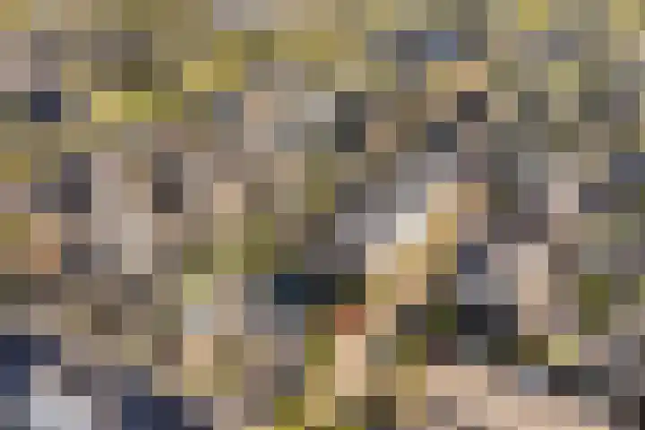 Forel 1 Veenendaal thumbnail 33
