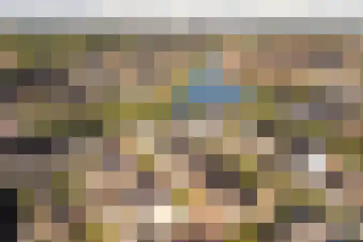 Forel 1 Veenendaal thumbnail 34