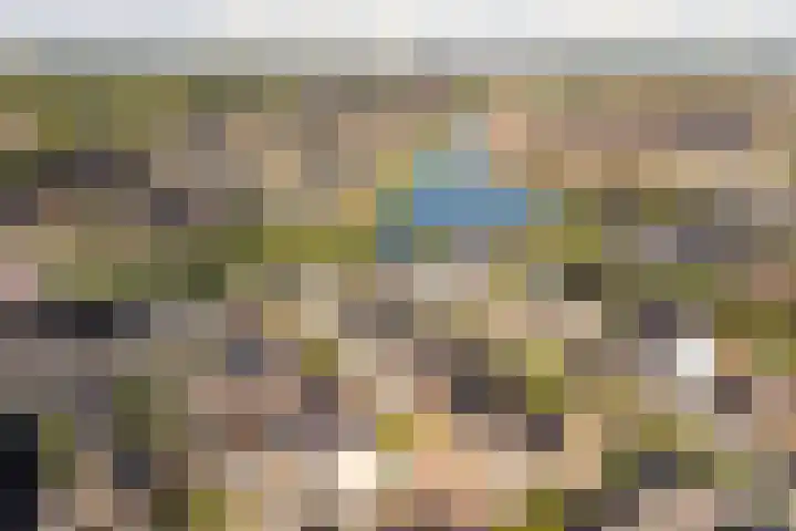 Forel 1 Veenendaal thumbnail 35