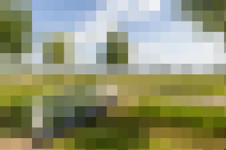Forel 1 Veenendaal thumbnail 37