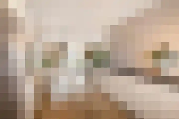 Forel 1 Veenendaal thumbnail 8