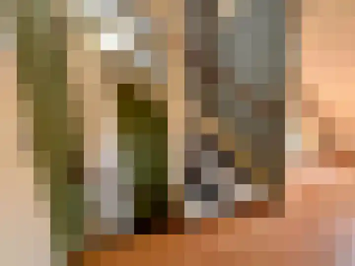 Forel 10 Zeewolde thumbnail 15