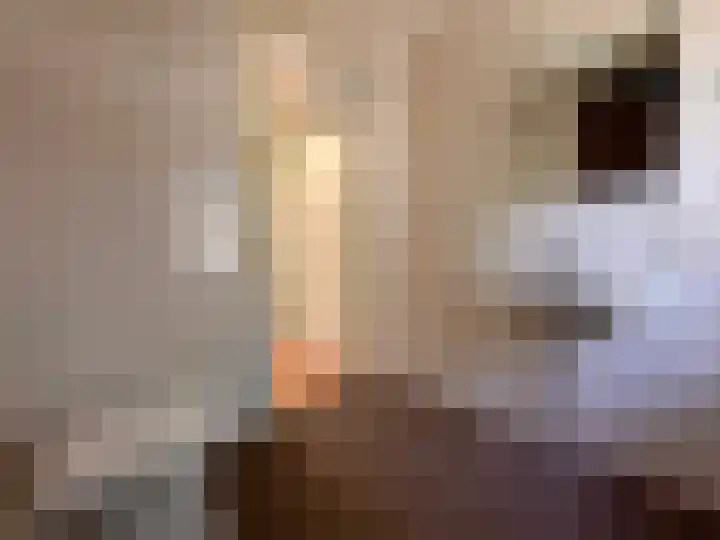 Forel 10 Zeewolde thumbnail 23