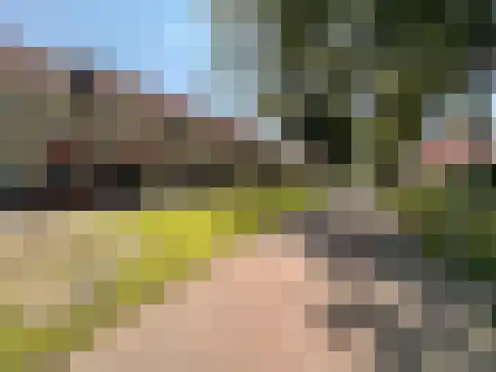 Forel 10 Zeewolde thumbnail 32
