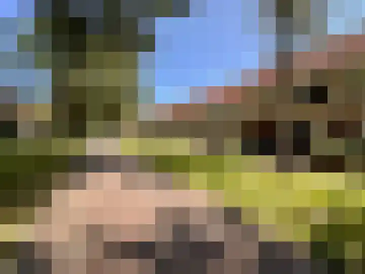 Forel 10 Zeewolde thumbnail 33