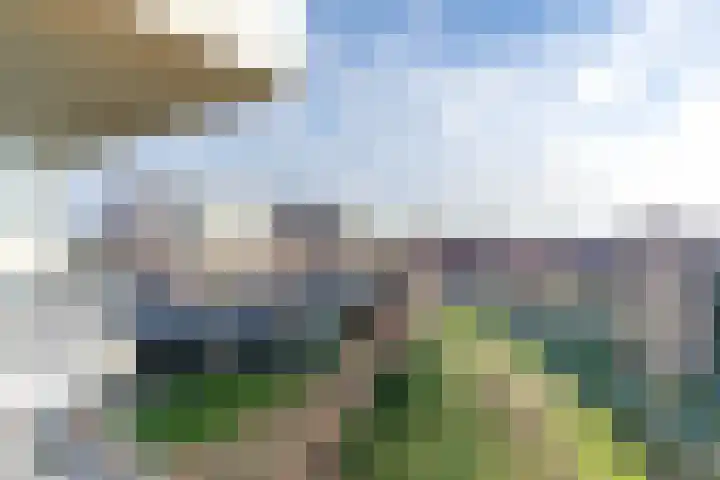 Forel 104 Amersfoort thumbnail 30