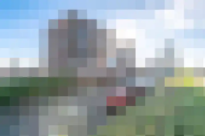Forel 104 Amersfoort thumbnail 32