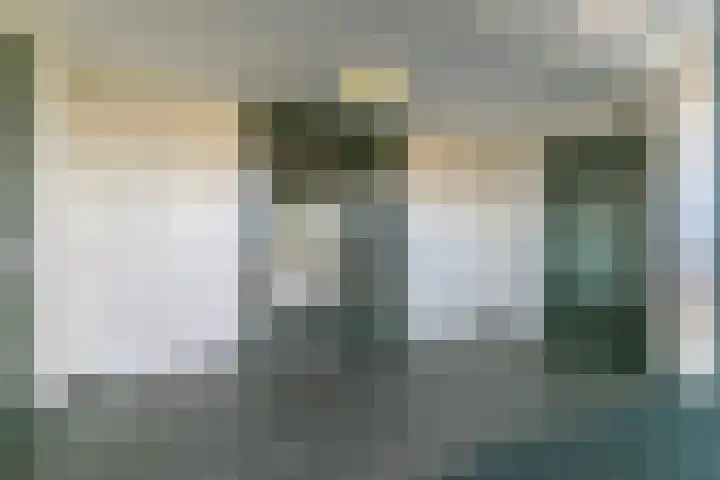 Forel 104 Amersfoort thumbnail 6