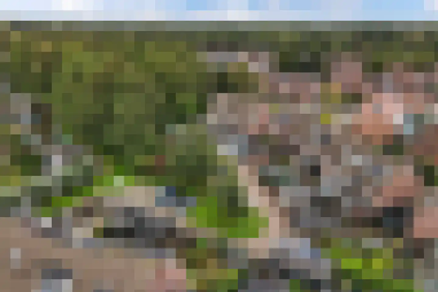 Forel 13 Zuid-Scharwoude thumbnail 36