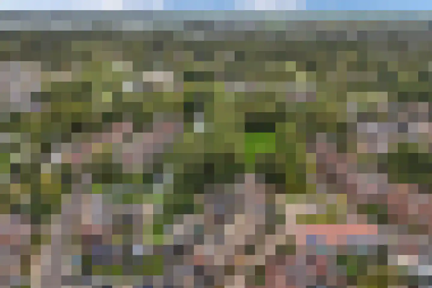 Forel 13 Zuid-Scharwoude thumbnail 41