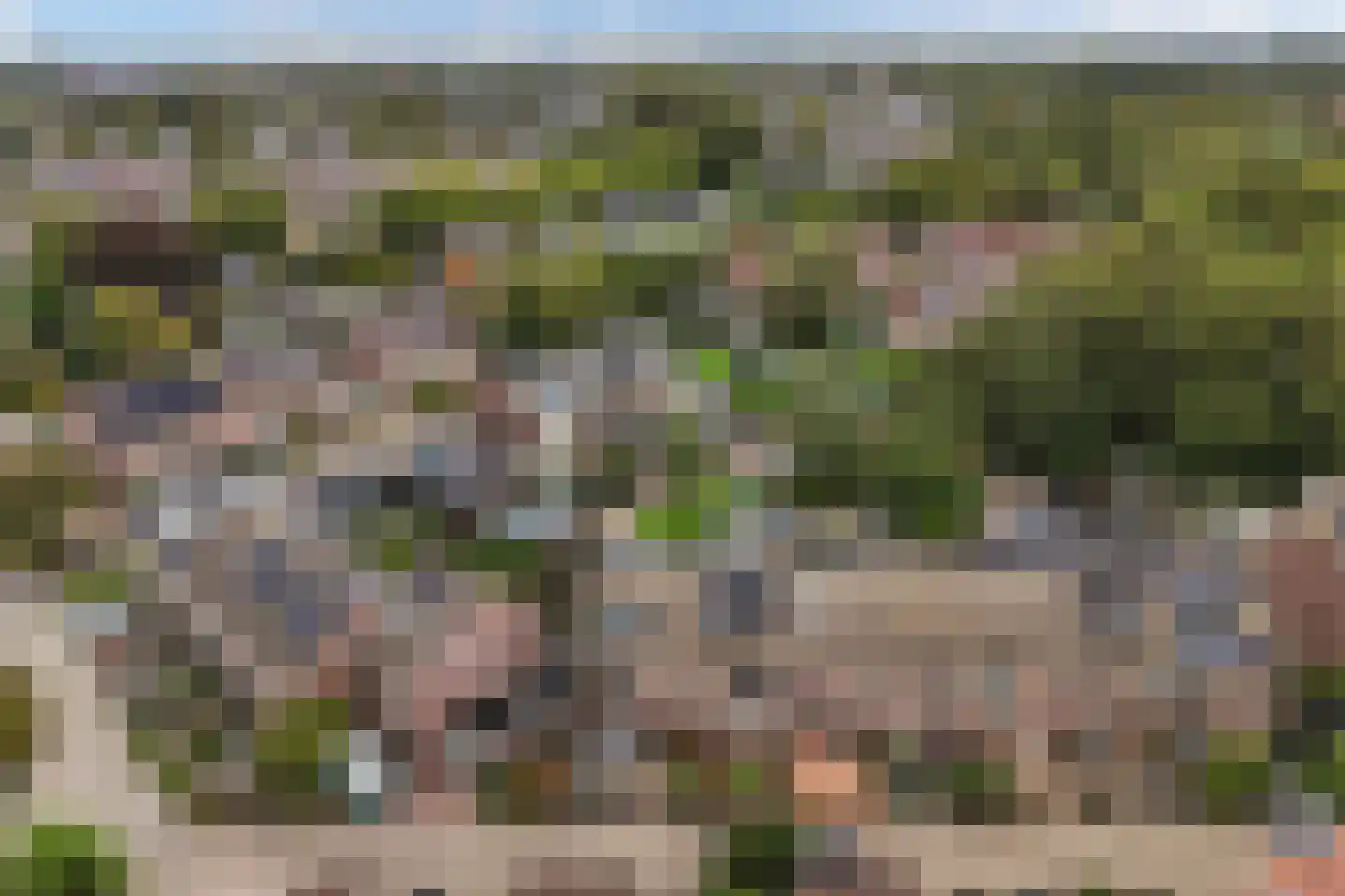 Forel 13 Zuid-Scharwoude thumbnail 5