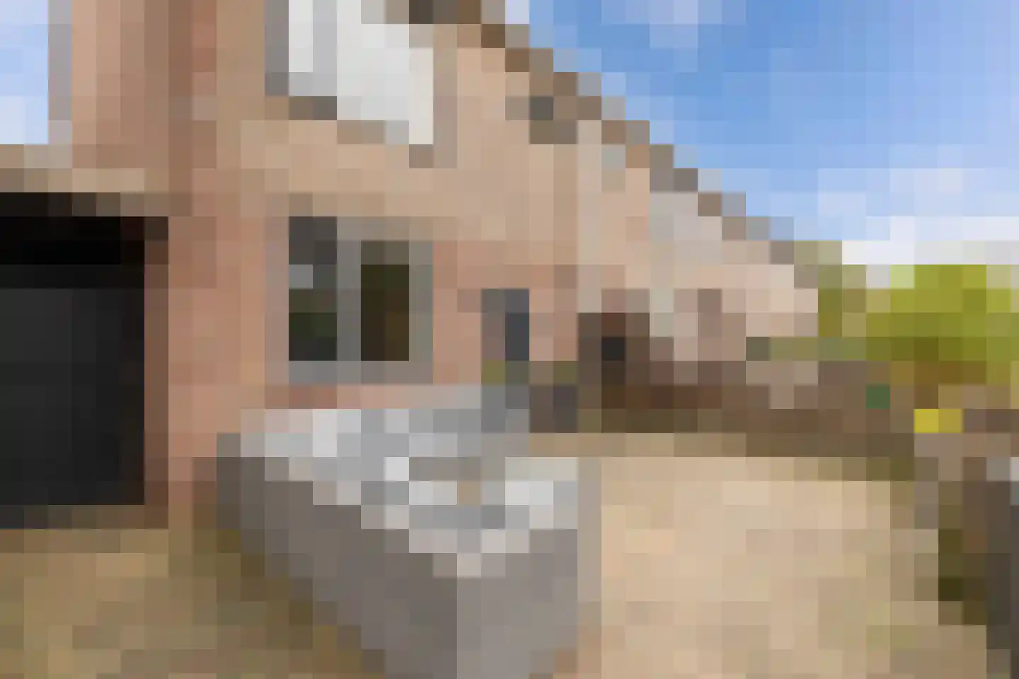 Forel 13 Zuid-Scharwoude thumbnail 6