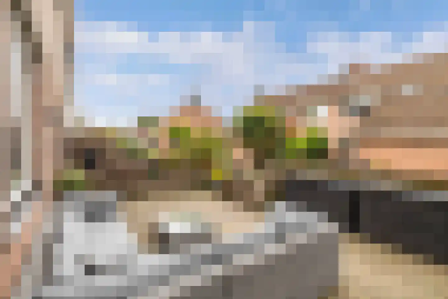 Forel 13 Zuid-Scharwoude thumbnail 7