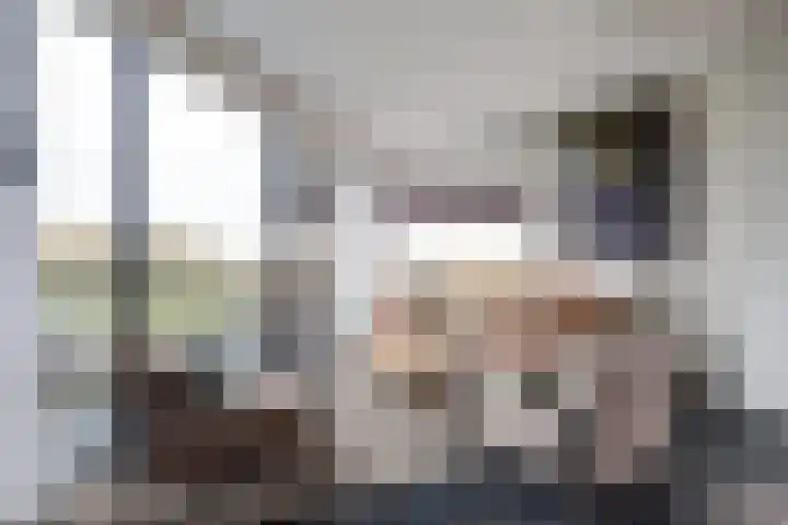Forel 150 Amersfoort thumbnail 13