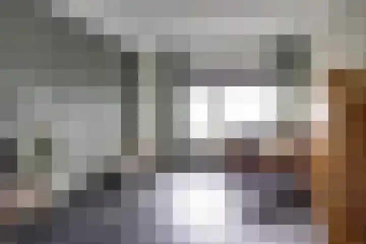 Forel 150 Amersfoort thumbnail 26