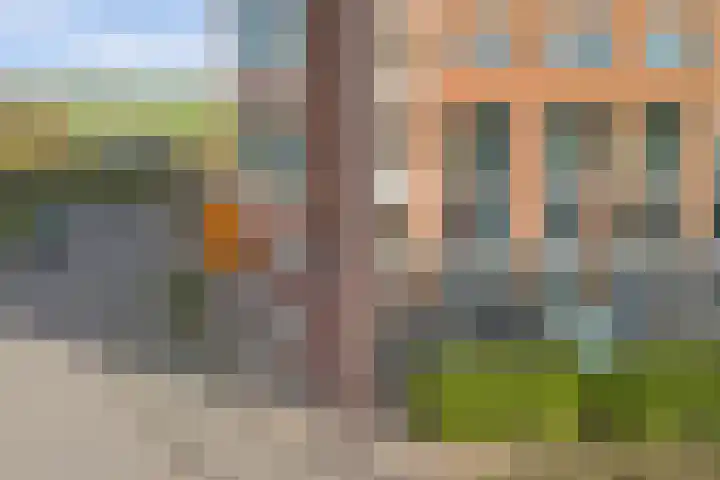 Forel 150 Amersfoort thumbnail 32