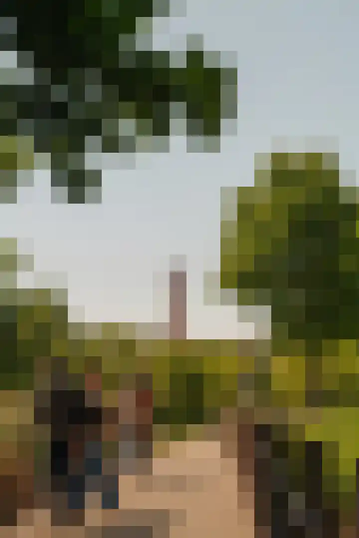Forel 150 Amersfoort thumbnail 33
