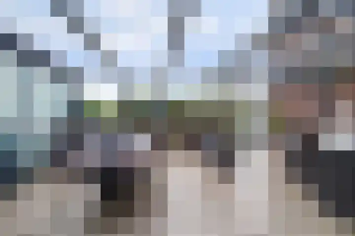 Forel 150 Amersfoort thumbnail 34
