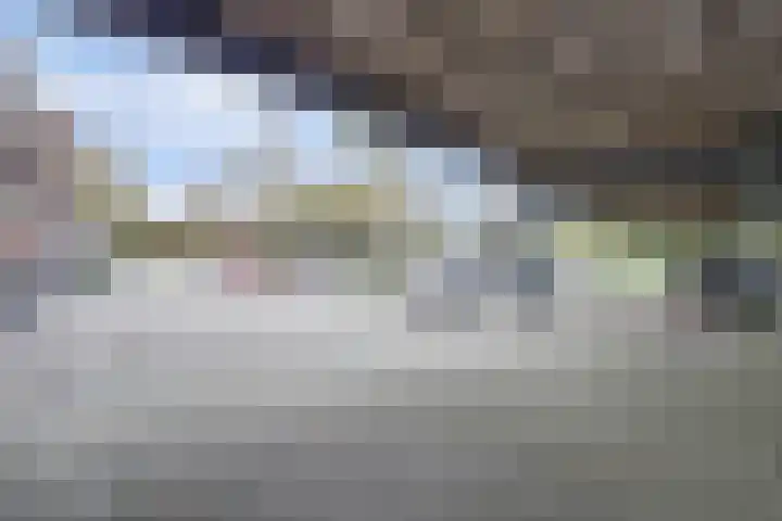 Forel 150 Amersfoort thumbnail 37