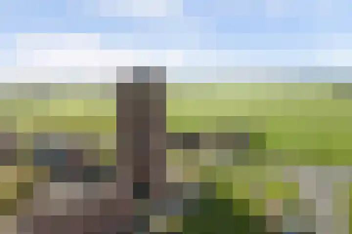 Forel 150 Amersfoort thumbnail 41