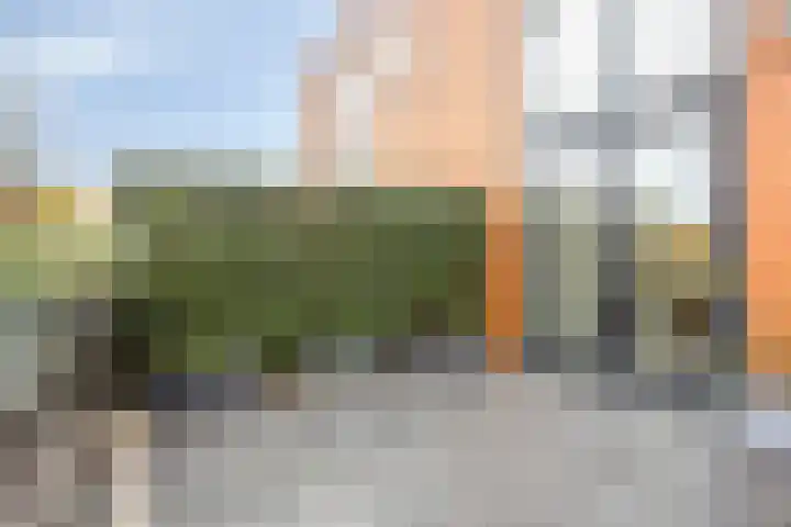 Forel 16 Amersfoort thumbnail 19