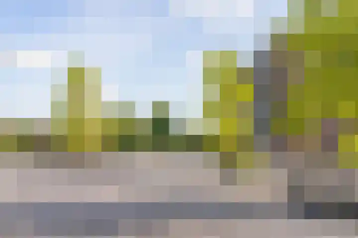 Forel 172 Amersfoort thumbnail 34