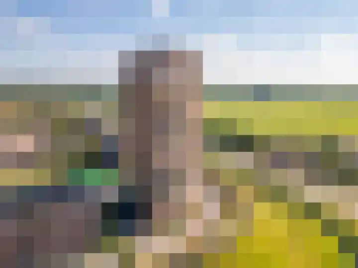 Forel 172 Amersfoort thumbnail 35