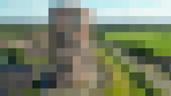 Forel 172 Amersfoort thumbnail 36
