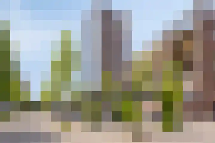 Forel 174 Amersfoort thumbnail 27