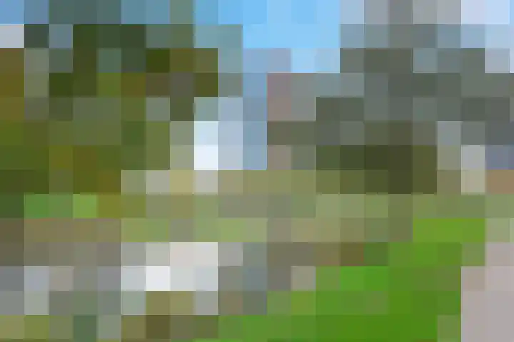 Forel 174 Amersfoort thumbnail 28